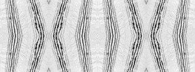 Soyut lekeyi yıka. Line Tie Boya Vuruşu. Art Geometric Kravat Die Spot. Sanat Rengi Fırçası. Coğrafi Renksiz Dökülme. Boya Gri Soyut Tablo. Gri mürekkep deseni. Etnik Kova Rengi Deseni.