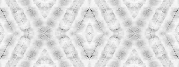 Spot Abstracte Mark Dot Water Borstel Dot Grey Color Shibori — Stockfoto