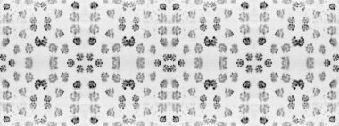 Gri Kusursuz Mark. Spot Tie Boya Tablosu. Islak Soyut Yazdırma. Çizgi Sanat Modeli. Nokta Su Lekesi. Etnik Kova Beyaz Saplı. Boyalı Leke Soyut Süngeri. Sanat Geometrik Akrilik Çubuğu.