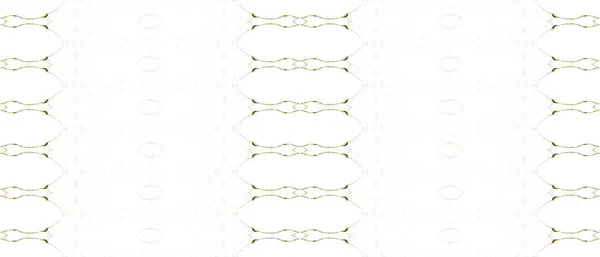 Beżowy Wzór Gradientu Szczotka Plemienna Sepia Brązowy Wzór Batika Brudna — Zdjęcie stockowe