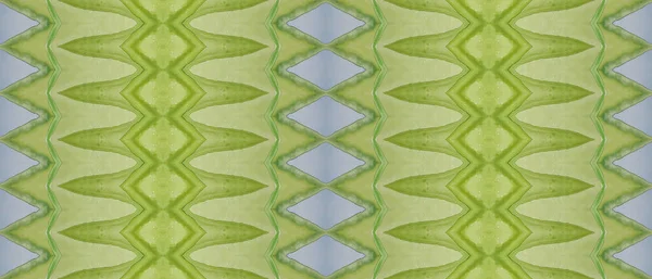 Pincel Tinta Mar Corante Boêmio Verde Têxtil Tribal Verde Impressão — Fotografia de Stock