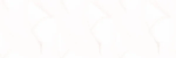 용설란의 갈색이다 동양의 알코올 알코올 백조의 브라운 그라운드 화이트 페인트 — 스톡 사진