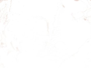 Parlak Kahverengi Mermer. Kahverengi Sıvı Doku. Beyaz Mermer Arkaplan. Bronz Soyut Arkaplan. Altın Alkol Mürekkep Tablosu. Kahverengi Sanat Boyası. Kahverengi renkli beyaz arka plan. Lüks Soyut Ressamlık