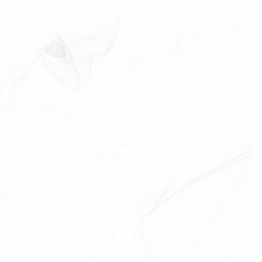 Gri Alkol Mürekkebi Grunge. Açık Beyaz Şablon. Hafif Grunge Arkaplanı. Gri Parlak Lüks Şablon. Gri mürekkep boyası. Parlak Sulu Renkli Grunge. Su Boyası Arkaplanı. Folil Altın Arkaplan.