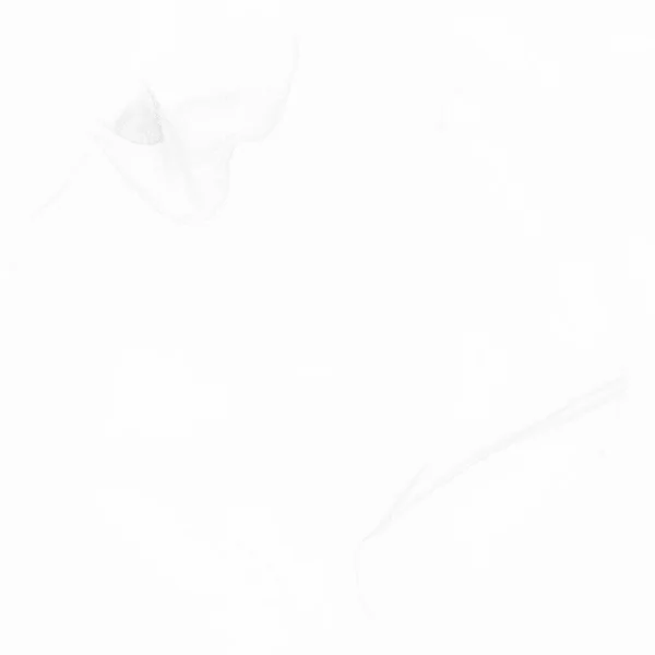 Gri Alkol Mürekkebi Grunge Açık Beyaz Şablon Hafif Grunge Arkaplanı — Stok fotoğraf
