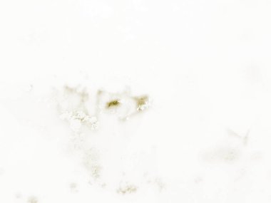 Altın Alkol Mürekkebi Grunge. Parlak Su Rengi Tablosu. Hafif Zarif Parıltı. Grain Grunge Arkaplanı. Açık Doğulu Arka plan. Alkol Mürekkebi Geçmişi. Altın Sanat Boyası. Altın Parlak Lüks Şablon.