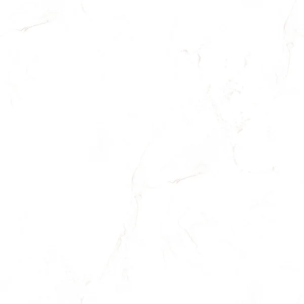 용설란의 갈색이다 알코올인크 화이트 페인트 Brown Geode Glitter Beige Marble — 스톡 사진