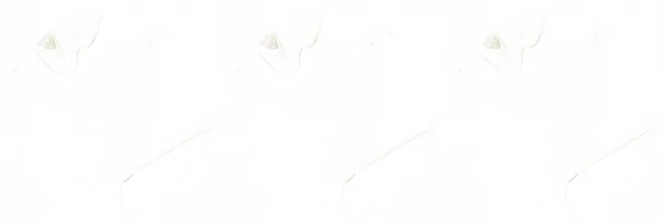 Gold Alcohol Ink Glitter White Grunge Background Grain Seamless Background — Stock Photo, Image