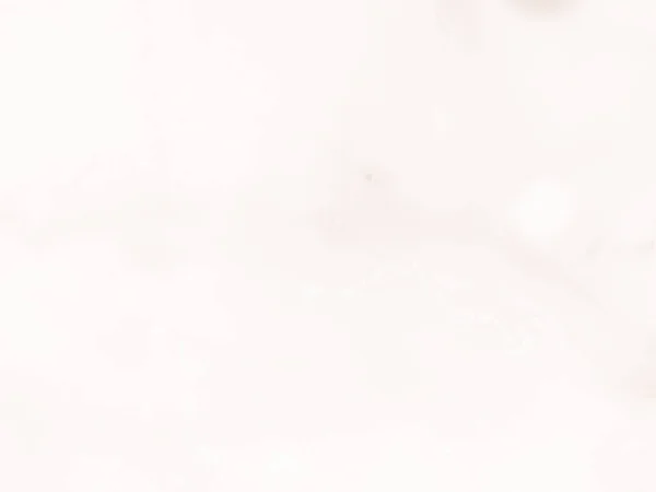 알코올인크 브라운 페인트 Beige Marble Background 용설란의 갈색이다 문자를 만든다 — 스톡 사진