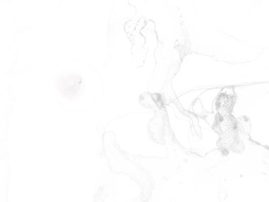 Gri Alkol Mürekkebi Grunge. Foil Gradyan Arkaplanı. Parlak Grunge Geçmişi. Su Boyası Arkaplanı. Açık Su Renkli Grunge. Gri Sanat Boyası. Parlak Zarif Doku. Gri Işık Soyut Boyama.