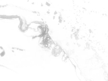 Gri Alkol Mürekkebi Grunge. Açık Beyaz Doku. Su Boyası Arkaplanı. Parlak Sulu Renkli Grunge. Gri mürekkep boyası. Folil Grunge arka planı. Işık Gradyan Arkaplanı. Gri Lüks Altın Boyama.