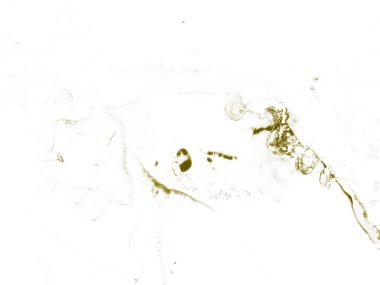 Altın Su Rengi Parıltısı. Alkol Mürekkebi Geçmişi. Hafif Grunge Arkaplanı. Beyaz Alkol Mürekkebi Grunge. Hafif Zarif Doku. Altın mürekkep boyası. Tahıl Soyut Arkaplan. Altın Beyaz Altın Boyama.