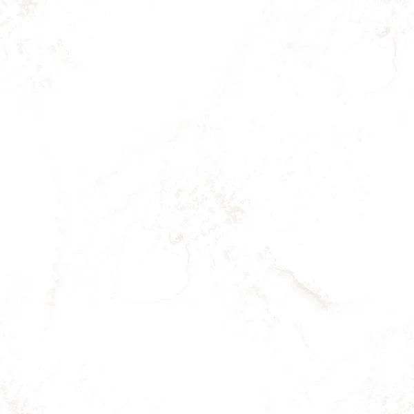 알코올인크 용설란의 갈색이다 문자를 만든다 크릴새우의 그림이다 브라운 그라운드 현대의 — 스톡 사진