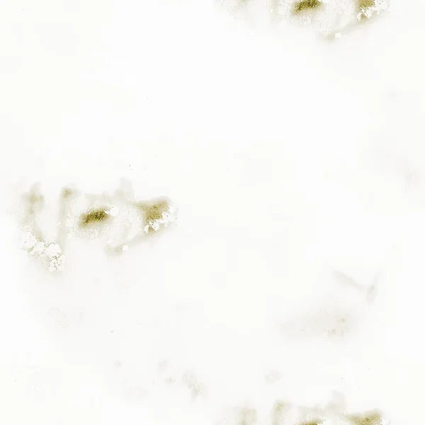 ゴールドアルコールインクグランジ 水の色のキャンバスを箔 アルコールインクの背景 ライトオリエンタル背景 ホワイト グリッターの背景 流体の優雅なテクスチャ ゴールド高級絵画 金彩画 — ストック写真