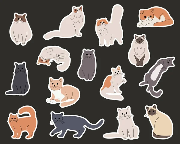 Aufkleber Set Von Kawaii Katzen Sammlung Von Niedlichen Babykatzen Cartoon — Stockvektor