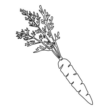 Havuç çizmeye devam et. Vektör çizimi. Beyaz arka planda siyah çizgi sanatı. Beyaz arka planda karikatür havucu. Vegan kavramı