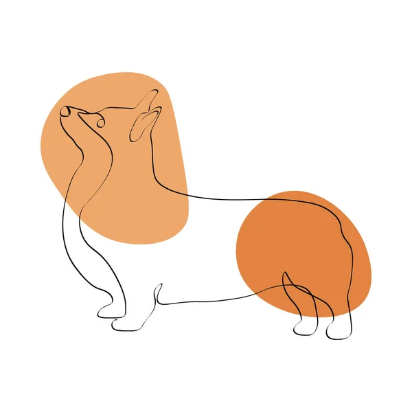 Continu Een Lijntekening Met Welsh Corgi Pembroke Hedendaagse Vectorillustratie Witte — Stockvector