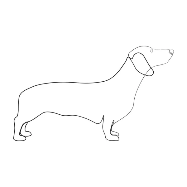 Continuous One Line Drawing Dachshund Contemporary Vector Illustration White Background — Stock Vector