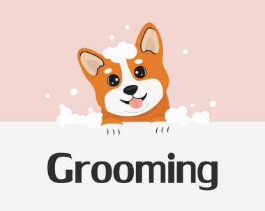 Şirin Corgi köpeği köpükle banyo yapıyor. Hayvan bakımı ve afiş için bir illüstrasyon. Çizgi film tarzında vektör illüstrasyonu. Tımar konsepti.