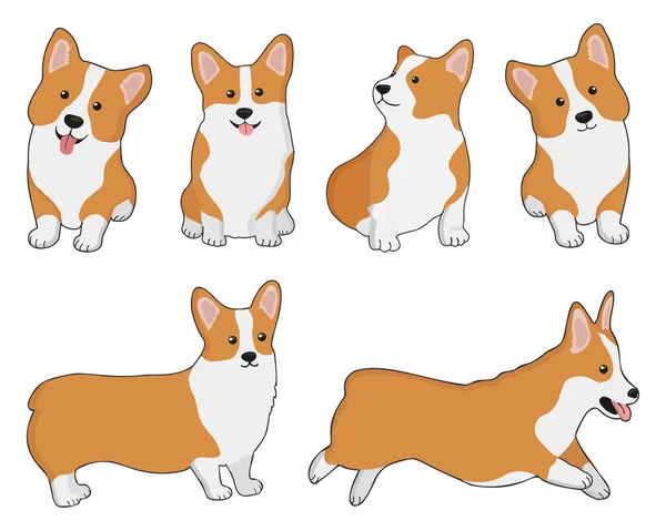 Set Von Walisischen Corgis Cartoon Stil Sammlung Von Hundefiguren Flache Vektorgrafiken