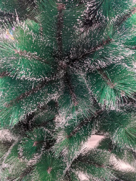 Ramos Árvore Natal Verde Fechar — Fotografia de Stock