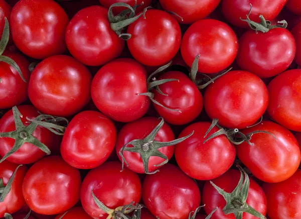 kırmızı küçük domatesler sıkıca paketlenmiş.