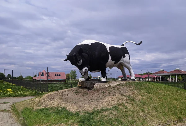 Bufalo Heykeli Bir Kaidede — Stok fotoğraf