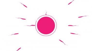 Spermatozoa saldırı çemberi, koruma, beyaz arka planda şematik animasyon