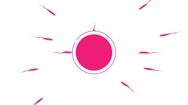 Spermatozoa Attack Circle Protection Schematic Animation White Background — Video Stock