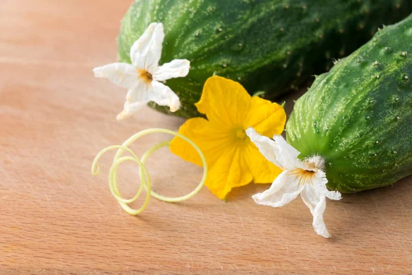 Los Pepinos Cortados Rodajas Tabla Cocina Primer Plano — Foto de Stock