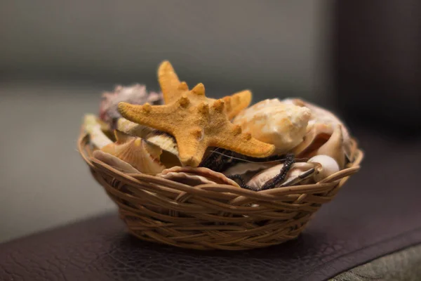 seashells in a wicker basket