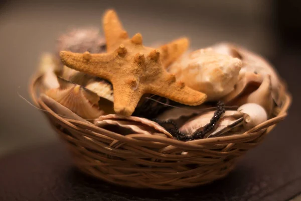Seashells Wicker Basket — Foto de Stock