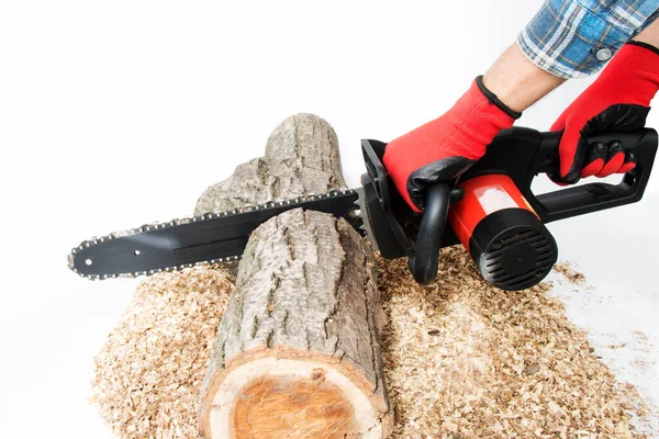 Sawing a tree with a chainsaw, A man in his hand holds a chainsaw and cuts a tree, isolated on white