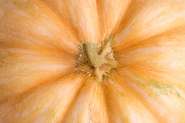 Orange Pumpkin Closeup Top View — Stock Photo, Image