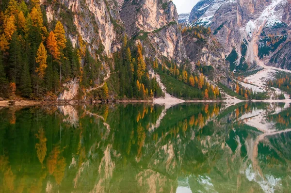 Skály Podzimní Les Odráží Vodě Braies Jezera Lago Braies Pragser — Stock fotografie