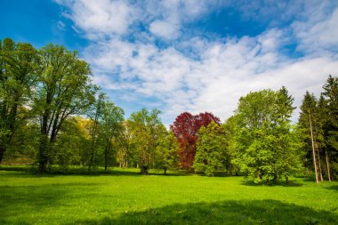 Scenic view of Konopiste park at springtime, Benesov, Czech republic. It is popular tourist attraction near Prague