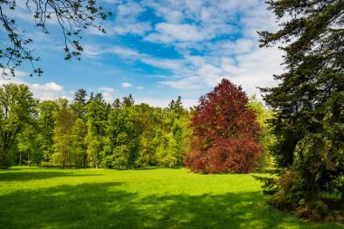 Scenic view of Konopiste park at springtime, Benesov, Czech republic. It is popular tourist attraction near Prague