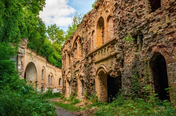 Ukrayna 'nın Rivne bölgesindeki Dubno Kalesi veya Tarakaniv Kalesi harabeleri. Ukrayna 'da askeri tarih ve seyahat merkezinin popüler bir anıtı.