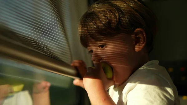 Tren Equitación Infantil Durante Hora Dorada Niño Viaja Tren —  Fotos de Stock