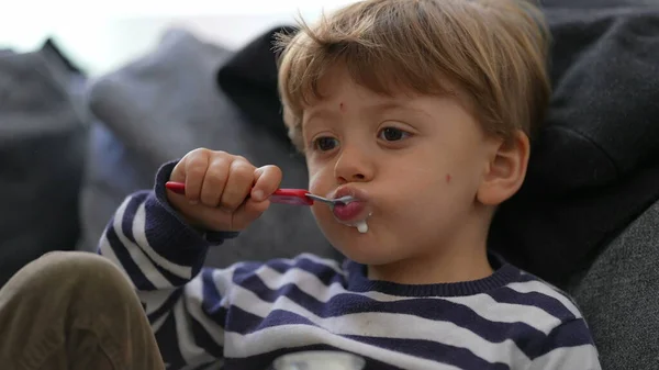 Criança Comendo Iogurte Sentado Sofá Menino Come Iogurte Com Colher — Fotografia de Stock