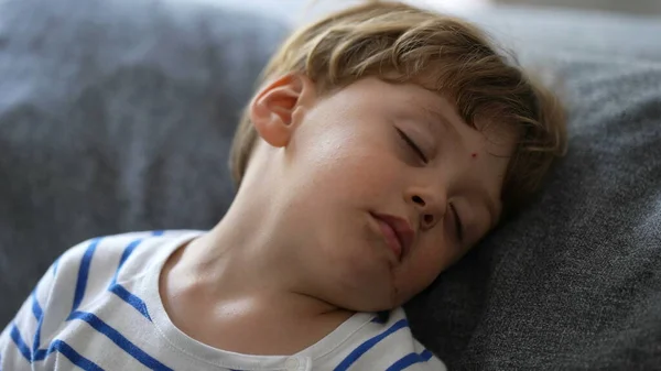 Child Asleep Napping Little Boy Sleeping Couch — Stok fotoğraf