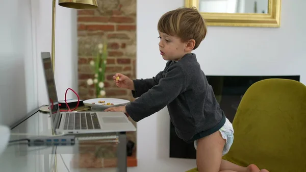 Дитячий Хлопчик Носить Підгузники Перед Ноутбуком Вдома Річний Малюк — стокове фото