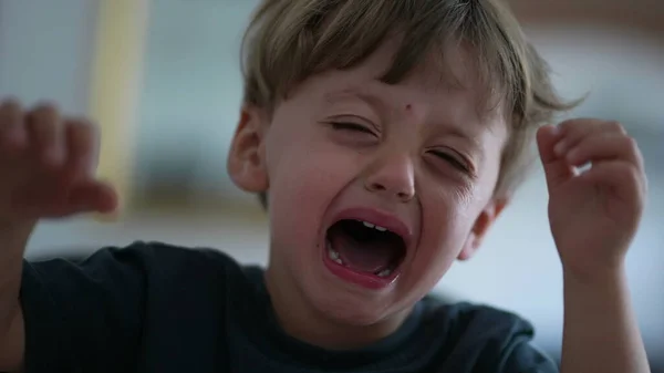 泣いている子供を動揺させる — ストック写真