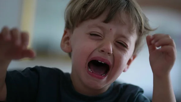 Rozrušené Dítě Pláče Jeden Malý Chlapec Pláče — Stock fotografie