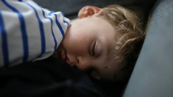 Dois Anos Idade Criança Dormindo Criança Dormindo Cochilando Sofá — Fotografia de Stock