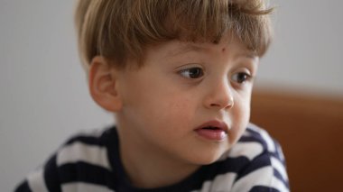 Küçük bir çocuk portresi.