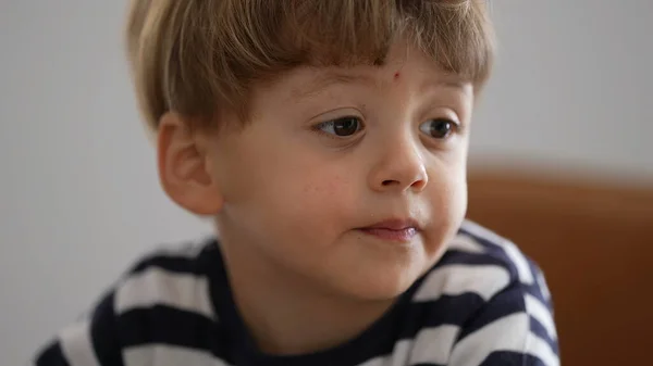 Retrato Niño Pequeño — Foto de Stock