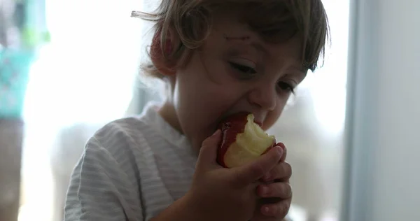 Toddler Boy Taking Bite Apple Fruit Healthy Snack — Photo