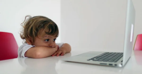 Маленький Хлопчик Малюк Дивиться Мультфільм Ноутбук — стокове фото