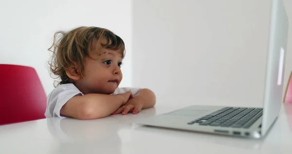 Маленький Хлопчик Малюк Дивиться Мультфільм Ноутбук — стокове фото